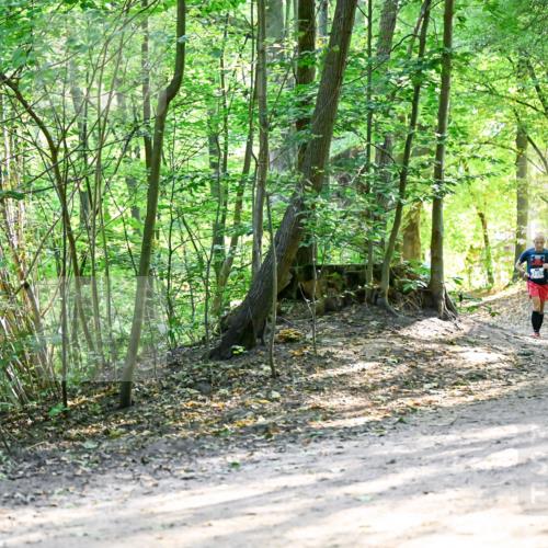 28.09.2025 - 33. Volkslauf durch das schöne Alstertal Dr. Thomas Lammeyer http://msf.ph/oto/8962467 28.09.2025 11:11:13 Laufen  meine-sportfotos.de