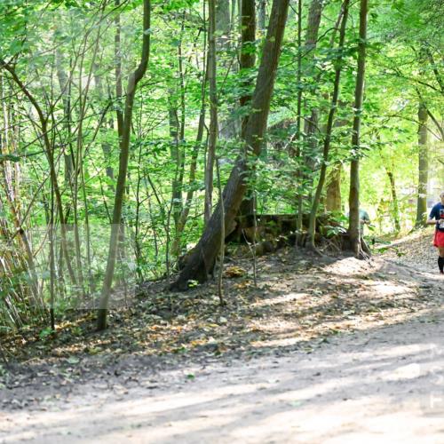 28.09.2025 - 33. Volkslauf durch das schöne Alstertal Dr. Thomas Lammeyer http://msf.ph/oto/8962470 28.09.2025 11:11:13 Laufen  meine-sportfotos.de