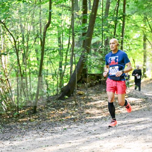 28.09.2025 - 33. Volkslauf durch das schöne Alstertal Dr. Thomas Lammeyer http://msf.ph/oto/8962471 28.09.2025 11:11:19 Laufen 3955 meine-sportfotos.de