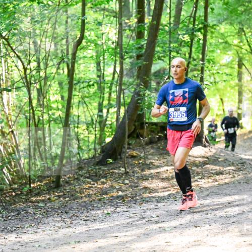 28.09.2025 - 33. Volkslauf durch das schöne Alstertal Dr. Thomas Lammeyer http://msf.ph/oto/8962472 28.09.2025 11:11:19 Laufen 3955 meine-sportfotos.de
