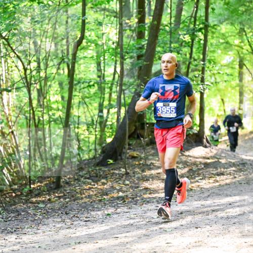 28.09.2025 - 33. Volkslauf durch das schöne Alstertal Dr. Thomas Lammeyer http://msf.ph/oto/8962473 28.09.2025 11:11:19 Laufen 3955 meine-sportfotos.de