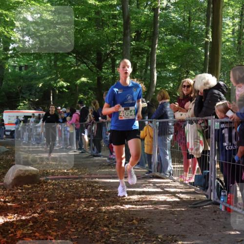 28.09.2025 - 33. Volkslauf durch das schöne Alstertal Strokosch-Dieckow http://msf.ph/oto/8962484 28.09.2025 10:57:56 Ziel 4054, 4076 meine-sportfotos.de