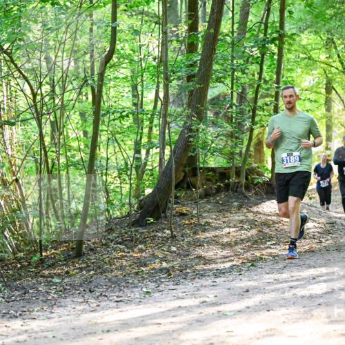 28.09.2025 - 33. Volkslauf durch das schöne Alstertal Dr. Thomas Lammeyer http://msf.ph/oto/8962485 28.09.2025 11:11:21 Laufen 3189, 3125 meine-sportfotos.de