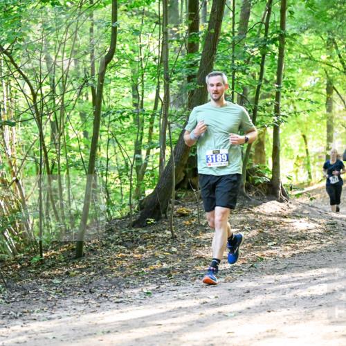 28.09.2025 - 33. Volkslauf durch das schöne Alstertal Dr. Thomas Lammeyer http://msf.ph/oto/8962491 28.09.2025 11:11:21 Laufen 3189, 3125 meine-sportfotos.de