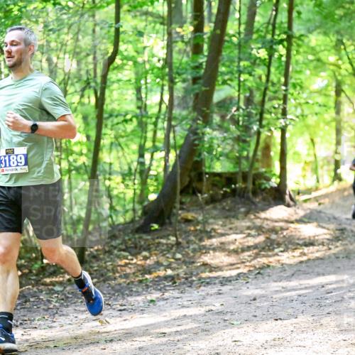 28.09.2025 - 33. Volkslauf durch das schöne Alstertal Dr. Thomas Lammeyer http://msf.ph/oto/8962501 28.09.2025 11:11:22 Laufen 3189 meine-sportfotos.de