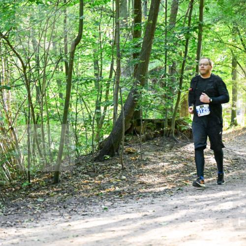 28.09.2025 - 33. Volkslauf durch das schöne Alstertal Dr. Thomas Lammeyer http://msf.ph/oto/8962502 28.09.2025 11:11:25 Laufen 3125, 3147 meine-sportfotos.de