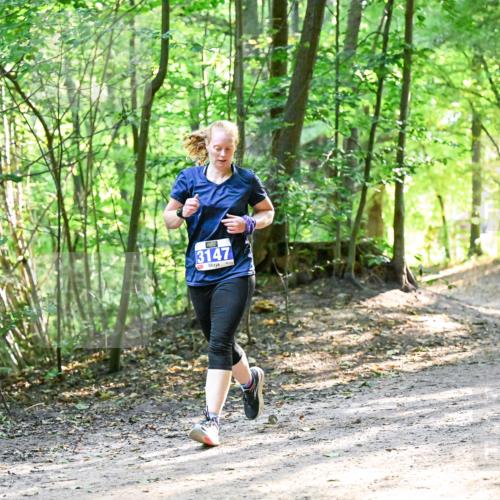 28.09.2025 - 33. Volkslauf durch das schöne Alstertal Dr. Thomas Lammeyer http://msf.ph/oto/8962516 28.09.2025 11:11:27 Laufen 3147 meine-sportfotos.de
