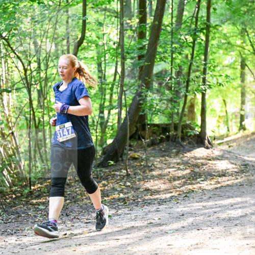 28.09.2025 - 33. Volkslauf durch das schöne Alstertal Dr. Thomas Lammeyer http://msf.ph/oto/8962518 28.09.2025 11:11:27 Laufen 3147 meine-sportfotos.de
