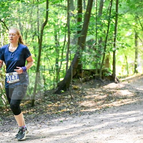 28.09.2025 - 33. Volkslauf durch das schöne Alstertal Dr. Thomas Lammeyer http://msf.ph/oto/8962521 28.09.2025 11:11:28 Laufen 3147 meine-sportfotos.de