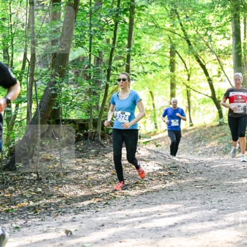 28.09.2025 - 33. Volkslauf durch das schöne Alstertal Dr. Thomas Lammeyer http://msf.ph/oto/8962522 28.09.2025 11:11:39 Laufen 3293, 3324 meine-sportfotos.de