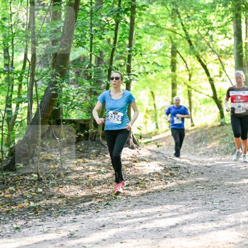 28.09.2025 - 33. Volkslauf durch das schöne Alstertal Dr. Thomas Lammeyer http://msf.ph/oto/8962523 28.09.2025 11:11:39 Laufen 293, 3324, 3097 meine-sportfotos.de