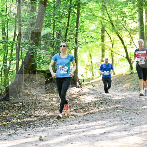 28.09.2025 - 33. Volkslauf durch das schöne Alstertal Dr. Thomas Lammeyer http://msf.ph/oto/8962524 28.09.2025 11:11:39 Laufen 3324, 3, 3097 meine-sportfotos.de