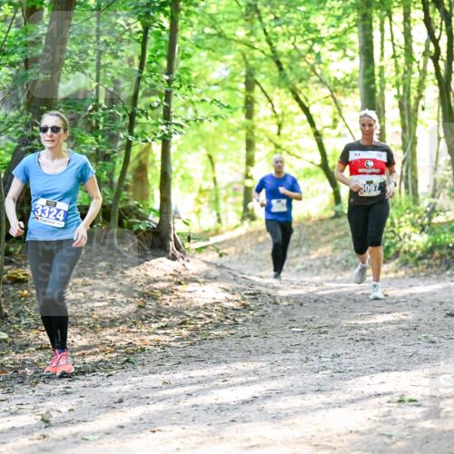 28.09.2025 - 33. Volkslauf durch das schöne Alstertal Dr. Thomas Lammeyer http://msf.ph/oto/8962526 28.09.2025 11:11:39 Laufen 3324, 3097 meine-sportfotos.de