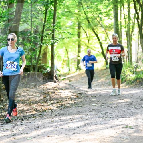 28.09.2025 - 33. Volkslauf durch das schöne Alstertal Dr. Thomas Lammeyer http://msf.ph/oto/8962527 28.09.2025 11:11:39 Laufen 3324, 9, 3097 meine-sportfotos.de