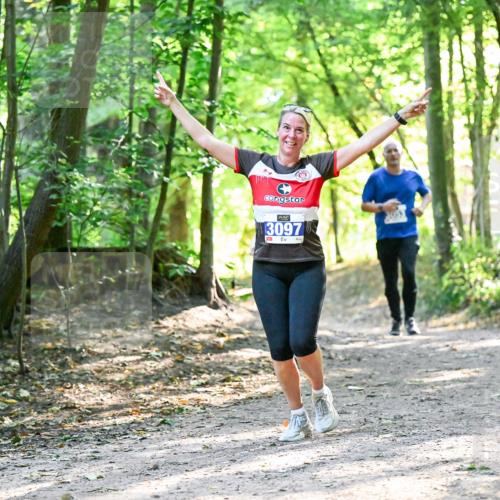 28.09.2025 - 33. Volkslauf durch das schöne Alstertal Dr. Thomas Lammeyer http://msf.ph/oto/8962535 28.09.2025 11:11:41 Laufen 3097 meine-sportfotos.de