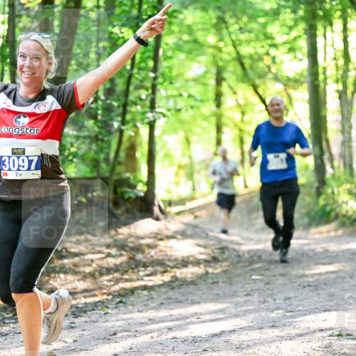 28.09.2025 - 33. Volkslauf durch das schöne Alstertal Dr. Thomas Lammeyer http://msf.ph/oto/8962540 28.09.2025 11:11:42 Laufen 3097 meine-sportfotos.de