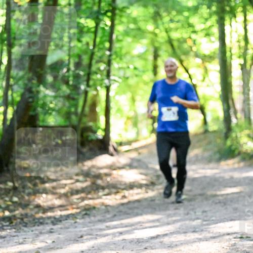 28.09.2025 - 33. Volkslauf durch das schöne Alstertal Dr. Thomas Lammeyer http://msf.ph/oto/8962543 28.09.2025 11:11:43 Laufen  meine-sportfotos.de