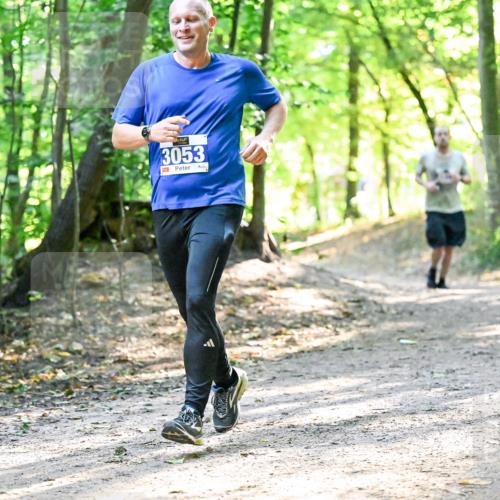 28.09.2025 - 33. Volkslauf durch das schöne Alstertal Dr. Thomas Lammeyer http://msf.ph/oto/8962548 28.09.2025 11:11:44 Laufen 3053, 4 meine-sportfotos.de