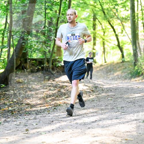 28.09.2025 - 33. Volkslauf durch das schöne Alstertal Dr. Thomas Lammeyer http://msf.ph/oto/8962555 28.09.2025 11:11:48 Laufen 3914 meine-sportfotos.de