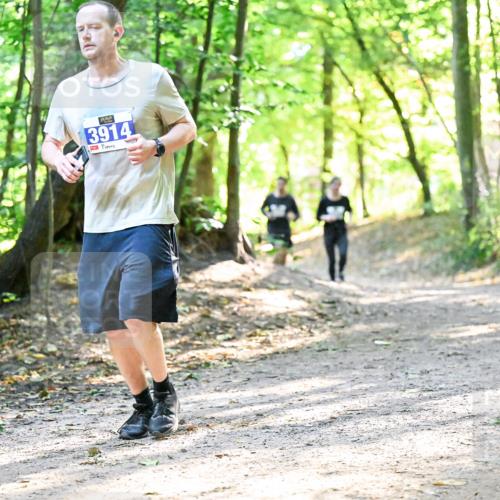 28.09.2025 - 33. Volkslauf durch das schöne Alstertal Dr. Thomas Lammeyer http://msf.ph/oto/8962560 28.09.2025 11:11:48 Laufen 3914 meine-sportfotos.de
