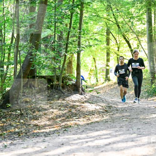 28.09.2025 - 33. Volkslauf durch das schöne Alstertal Dr. Thomas Lammeyer http://msf.ph/oto/8962567 28.09.2025 11:11:51 Laufen 3950, 3377 meine-sportfotos.de