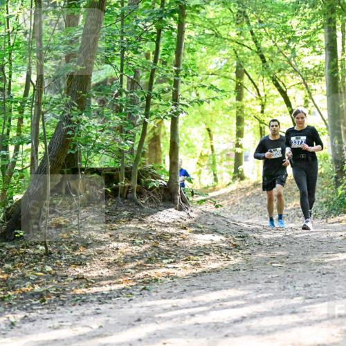28.09.2025 - 33. Volkslauf durch das schöne Alstertal Dr. Thomas Lammeyer http://msf.ph/oto/8962568 28.09.2025 11:11:51 Laufen 3377, 1950 meine-sportfotos.de