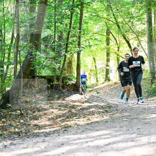 28.09.2025 - 33. Volkslauf durch das schöne Alstertal Dr. Thomas Lammeyer http://msf.ph/oto/8962569 28.09.2025 11:11:51 Laufen 3950, 3377 meine-sportfotos.de