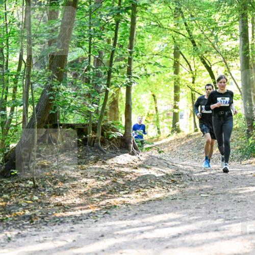 28.09.2025 - 33. Volkslauf durch das schöne Alstertal Dr. Thomas Lammeyer http://msf.ph/oto/8962570 28.09.2025 11:11:51 Laufen 2377 meine-sportfotos.de