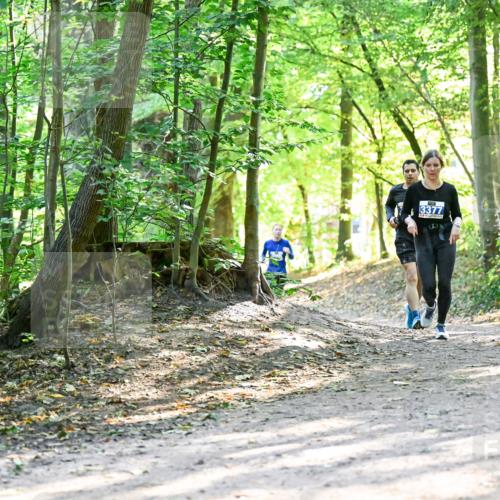 28.09.2025 - 33. Volkslauf durch das schöne Alstertal Dr. Thomas Lammeyer http://msf.ph/oto/8962571 28.09.2025 11:11:51 Laufen 3377 meine-sportfotos.de