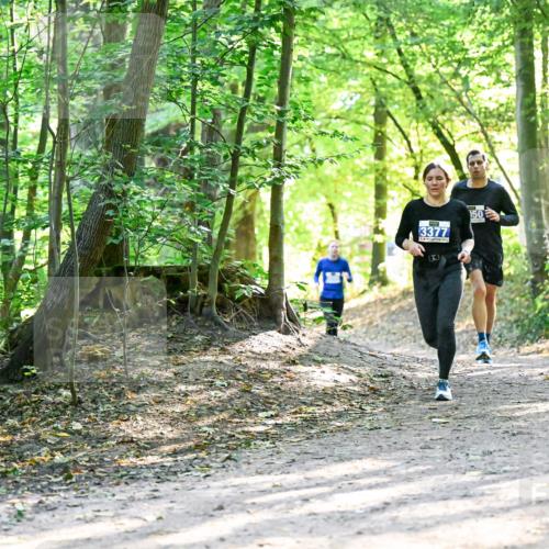 28.09.2025 - 33. Volkslauf durch das schöne Alstertal Dr. Thomas Lammeyer http://msf.ph/oto/8962577 28.09.2025 11:11:52 Laufen 3377, 150 meine-sportfotos.de