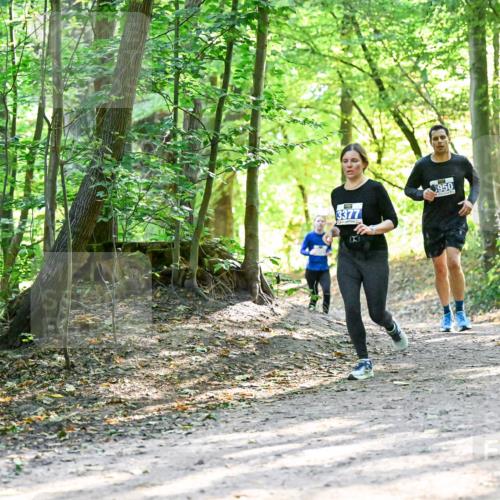 28.09.2025 - 33. Volkslauf durch das schöne Alstertal Dr. Thomas Lammeyer http://msf.ph/oto/8962578 28.09.2025 11:11:52 Laufen 3377, 950 meine-sportfotos.de