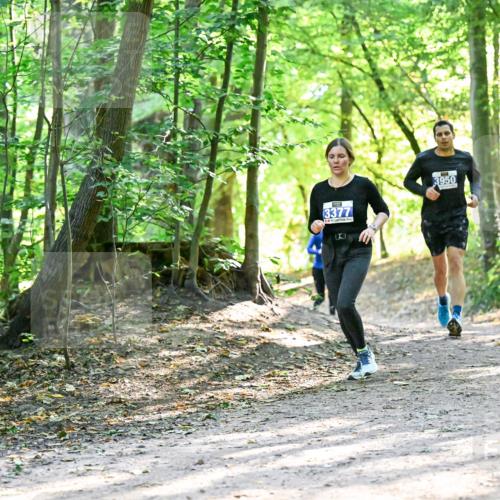 28.09.2025 - 33. Volkslauf durch das schöne Alstertal Dr. Thomas Lammeyer http://msf.ph/oto/8962579 28.09.2025 11:11:52 Laufen 3377, 3950 meine-sportfotos.de