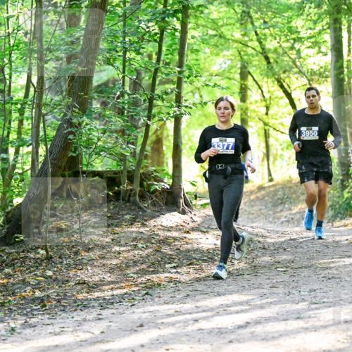 28.09.2025 - 33. Volkslauf durch das schöne Alstertal Dr. Thomas Lammeyer http://msf.ph/oto/8962580 28.09.2025 11:11:53 Laufen 3377, 3950 meine-sportfotos.de