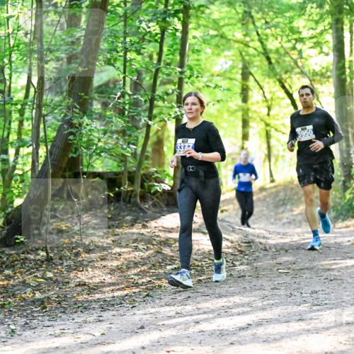 28.09.2025 - 33. Volkslauf durch das schöne Alstertal Dr. Thomas Lammeyer http://msf.ph/oto/8962583 28.09.2025 11:11:53 Laufen 337 meine-sportfotos.de