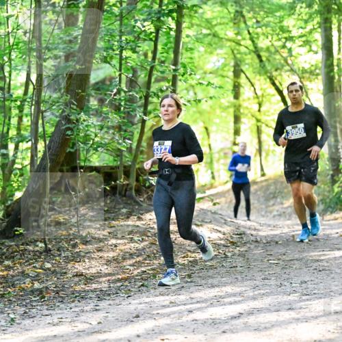 28.09.2025 - 33. Volkslauf durch das schöne Alstertal Dr. Thomas Lammeyer http://msf.ph/oto/8962584 28.09.2025 11:11:53 Laufen 3377, 3950 meine-sportfotos.de