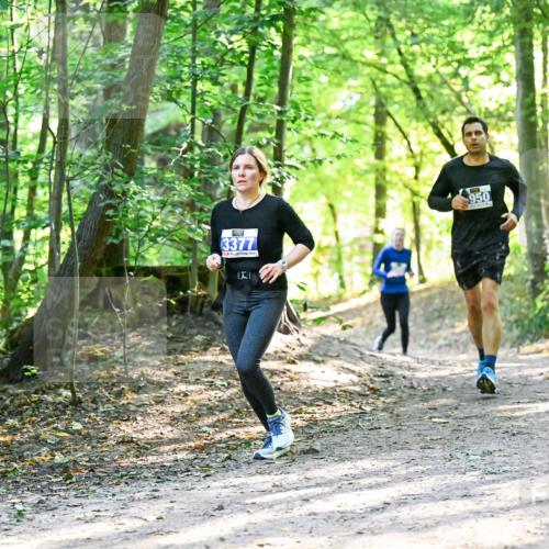 28.09.2025 - 33. Volkslauf durch das schöne Alstertal Dr. Thomas Lammeyer http://msf.ph/oto/8962585 28.09.2025 11:11:53 Laufen 3377, 950 meine-sportfotos.de
