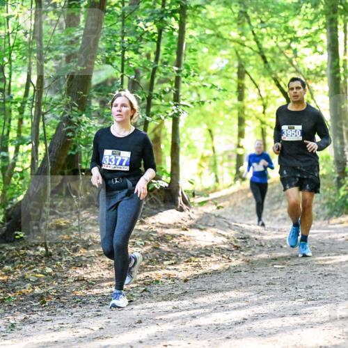 28.09.2025 - 33. Volkslauf durch das schöne Alstertal Dr. Thomas Lammeyer http://msf.ph/oto/8962586 28.09.2025 11:11:53 Laufen 3377, 3950 meine-sportfotos.de
