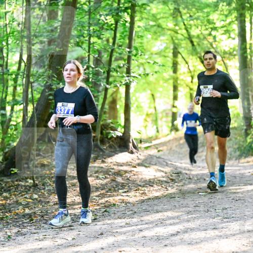 28.09.2025 - 33. Volkslauf durch das schöne Alstertal Dr. Thomas Lammeyer http://msf.ph/oto/8962587 28.09.2025 11:11:54 Laufen 3377, 3950 meine-sportfotos.de