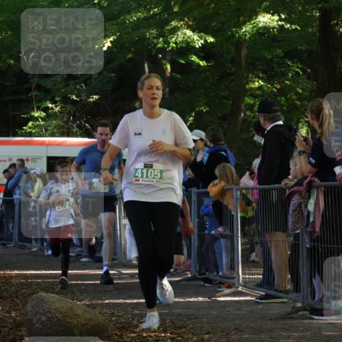 28.09.2025 - 33. Volkslauf durch das schöne Alstertal Strokosch-Dieckow http://msf.ph/oto/8962588 28.09.2025 10:58:15 Ziel 4090, 4091, 4105, 4122 meine-sportfotos.de