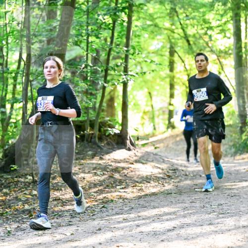 28.09.2025 - 33. Volkslauf durch das schöne Alstertal Dr. Thomas Lammeyer http://msf.ph/oto/8962589 28.09.2025 11:11:54 Laufen 33, 3950 meine-sportfotos.de