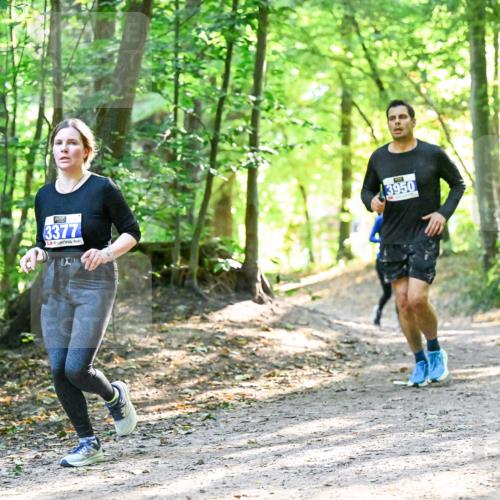 28.09.2025 - 33. Volkslauf durch das schöne Alstertal Dr. Thomas Lammeyer http://msf.ph/oto/8962590 28.09.2025 11:11:54 Laufen 3377, 3950 meine-sportfotos.de