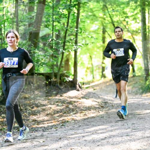 28.09.2025 - 33. Volkslauf durch das schöne Alstertal Dr. Thomas Lammeyer http://msf.ph/oto/8962591 28.09.2025 11:11:54 Laufen 3377, 1950 meine-sportfotos.de