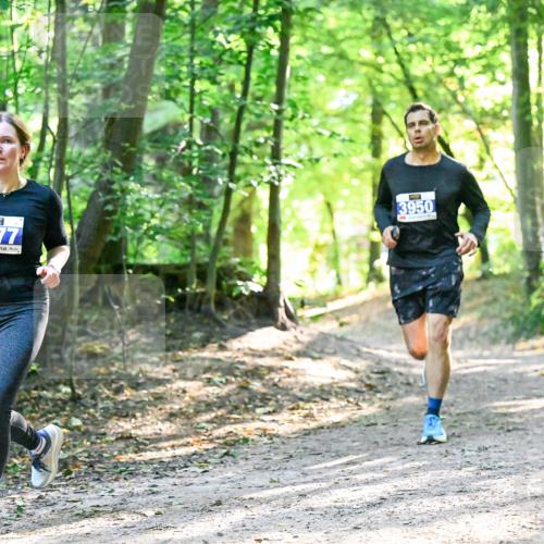 28.09.2025 - 33. Volkslauf durch das schöne Alstertal Dr. Thomas Lammeyer http://msf.ph/oto/8962592 28.09.2025 11:11:54 Laufen 3377, 3950 meine-sportfotos.de