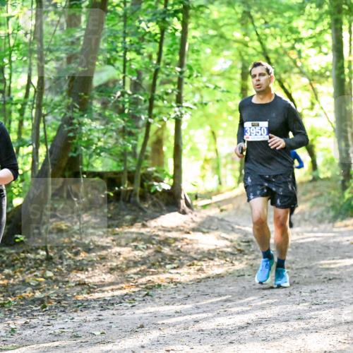 28.09.2025 - 33. Volkslauf durch das schöne Alstertal Dr. Thomas Lammeyer http://msf.ph/oto/8962594 28.09.2025 11:11:54 Laufen 3377, 3950 meine-sportfotos.de