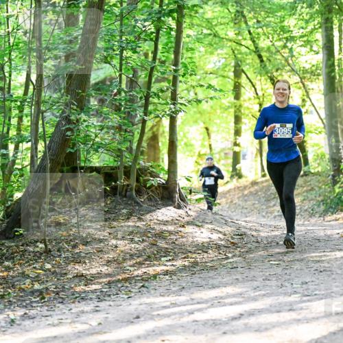 28.09.2025 - 33. Volkslauf durch das schöne Alstertal Dr. Thomas Lammeyer http://msf.ph/oto/8962599 28.09.2025 11:11:57 Laufen 13095 meine-sportfotos.de