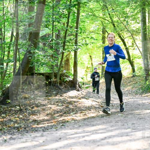 28.09.2025 - 33. Volkslauf durch das schöne Alstertal Dr. Thomas Lammeyer http://msf.ph/oto/8962601 28.09.2025 11:11:58 Laufen 3095 meine-sportfotos.de
