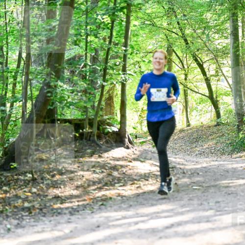 28.09.2025 - 33. Volkslauf durch das schöne Alstertal Dr. Thomas Lammeyer http://msf.ph/oto/8962603 28.09.2025 11:11:58 Laufen  meine-sportfotos.de
