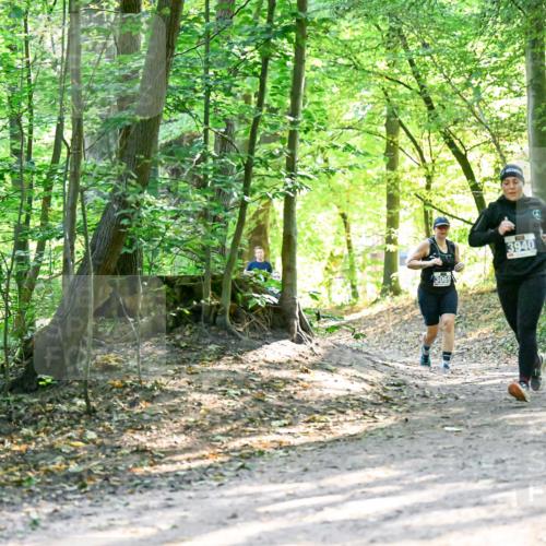 28.09.2025 - 33. Volkslauf durch das schöne Alstertal Dr. Thomas Lammeyer http://msf.ph/oto/8962608 28.09.2025 11:12:03 Laufen 3069, 3940 meine-sportfotos.de