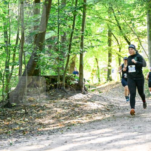 28.09.2025 - 33. Volkslauf durch das schöne Alstertal Dr. Thomas Lammeyer http://msf.ph/oto/8962611 28.09.2025 11:12:03 Laufen 3940 meine-sportfotos.de