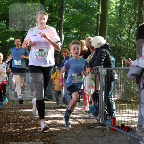 28.09.2025 - 33. Volkslauf durch das schöne Alstertal Strokosch-Dieckow http://msf.ph/oto/8962612 28.09.2025 10:58:18 Ziel 4090, 4091, 4105, 4122, 4176 meine-sportfotos.de